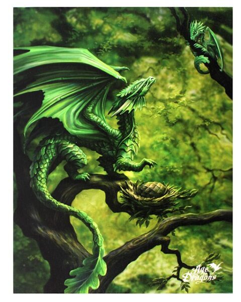Forest Dragon Small Canvas (Anne Stokes)